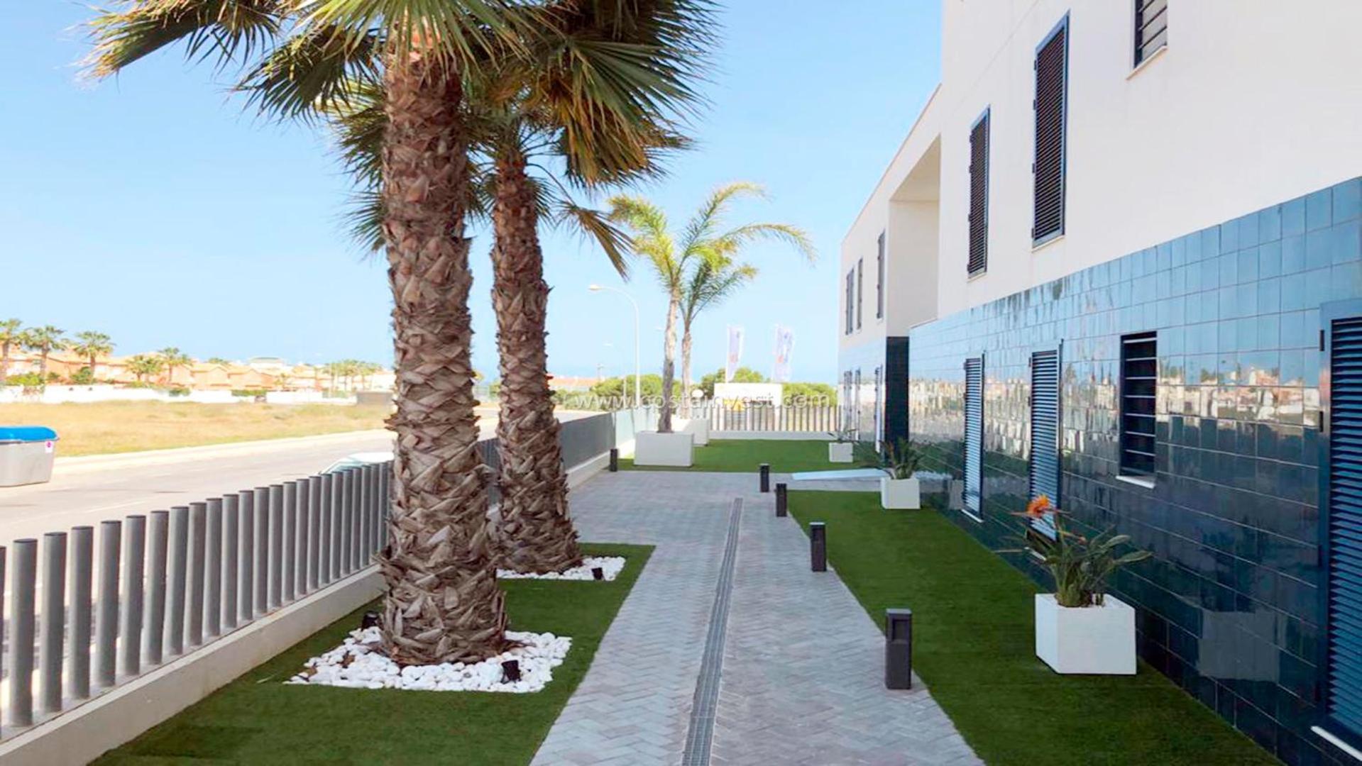 Palmview Poolside Heaven In Turquesa Del Mar Apartamento Orihuela Exterior foto